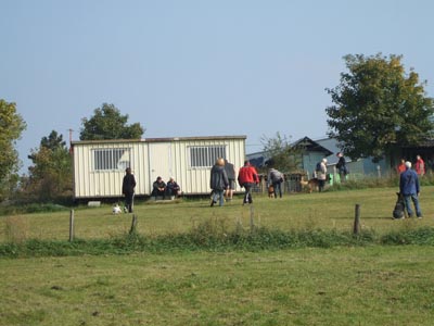 (c)Amicale du Berger de Caluire